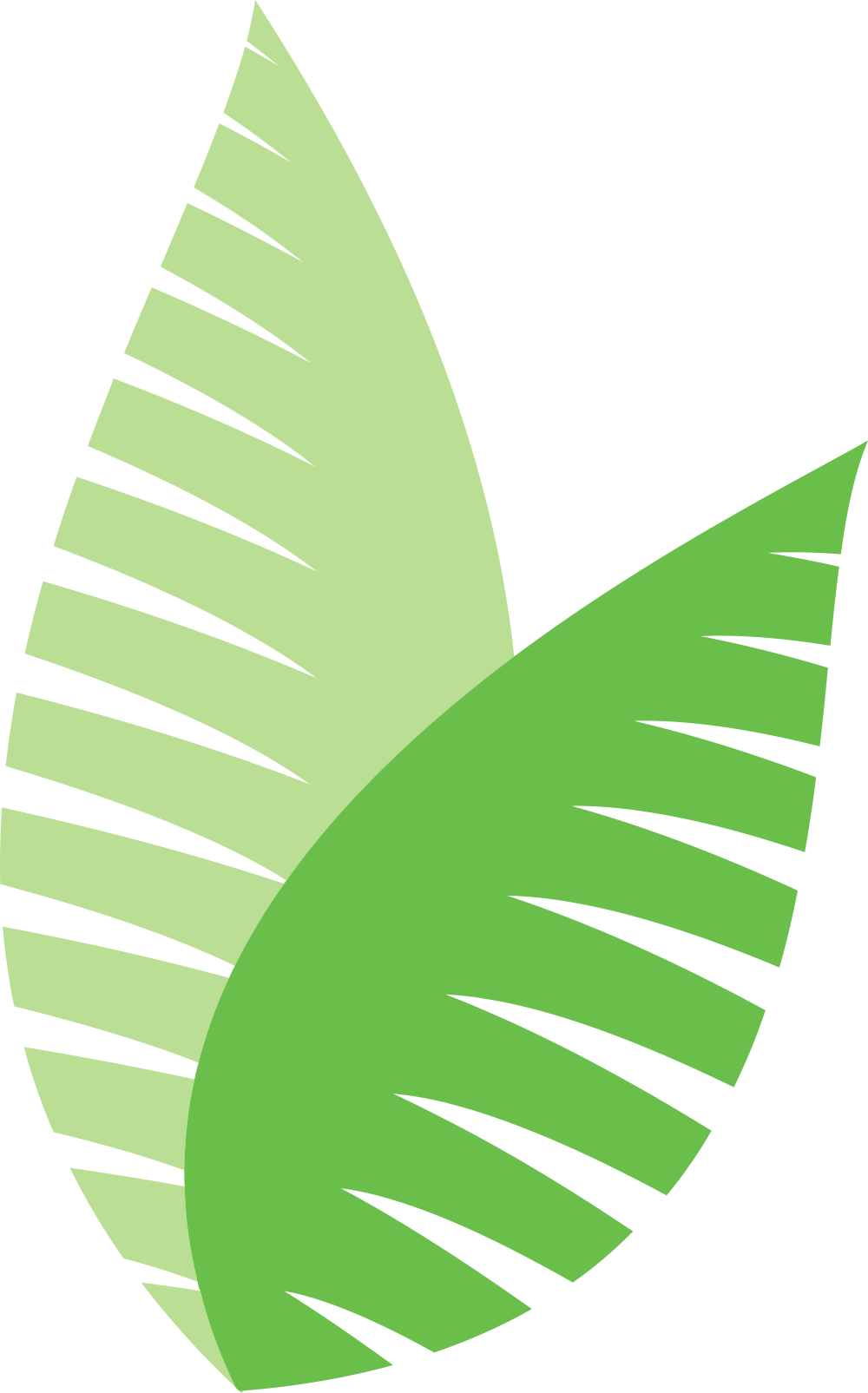 Ecodesign Pflanze Farn